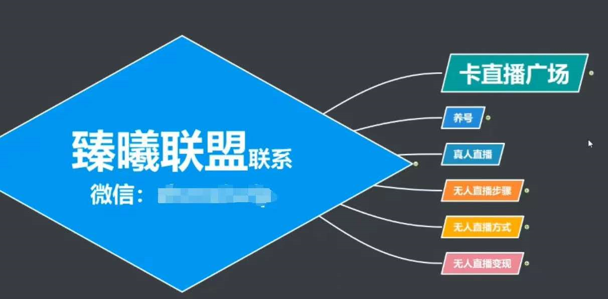 臻曦联盟，最新无人直播万人在线技术理原及详细操作步骤解析（视频教程）-猫哥网资源库