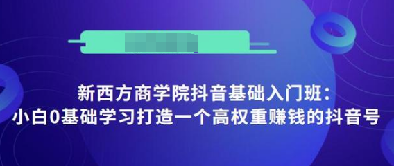 抖音基础入门班：小白0基础学习打造一个高权重赚钱的抖音号-猫哥网资源库