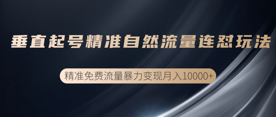 垂直起号精准自然流量连爆玩法，精准引流暴力变现月入10000+-猫哥网资源库