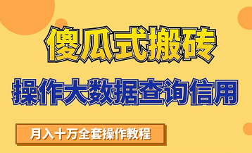 搬砖操作大数据查询信用项目赚钱教程，祝你快速月入6万-猫哥网资源库