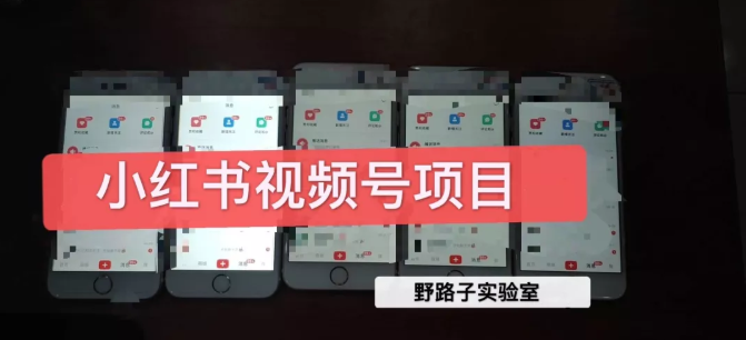 野路子小红书视频号1.0项目，直接上手操作就能赚钱的视频号项目-猫哥网资源库