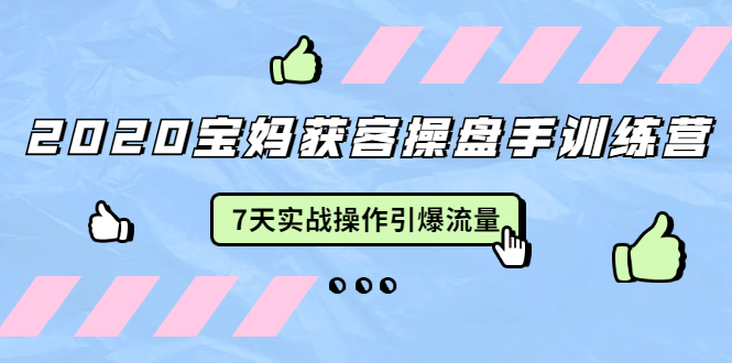 2020宝妈获客操盘手训练营：7天实战操作引爆 母婴、都市、购物宝妈流量-猫哥网资源库