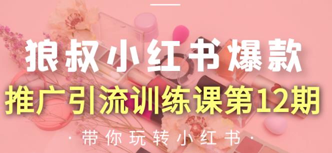 狼叔小红书爆款推广引流训练课第12期，手把手带你玩转小红书-猫哥网资源库