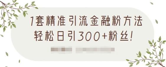 1套精准引流金融粉方法，轻松日引300+粉丝-猫哥网资源库