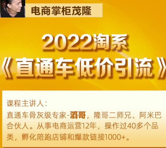 茂隆2022直通车低价引流玩法，教大家如何低投入高回报的直通车玩法-猫哥网资源库