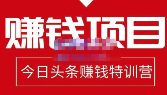懒人领域·今日头条项目玩法，头条中视频项目，单号收益在50—500可批量-猫哥网资源库
