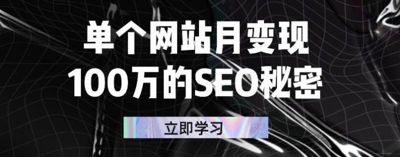 单个网站月变现100万的SEO秘密，百分百做出赚钱站点-猫哥网资源库