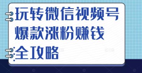玩转微信视频号爆款涨粉赚钱全攻略，让你快速抓住流量风口，收获红利财富-猫哥网资源库
