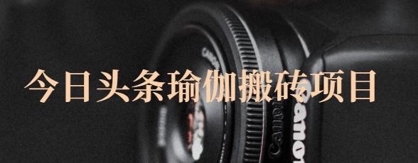 猎人社区·今日头条瑜伽搬砖项目，单号一天几十收入，可以批量操作！-猫哥网资源库
