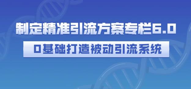 制定精准引流方案专栏6.0，0基础打造被动引流系统-猫哥网资源库