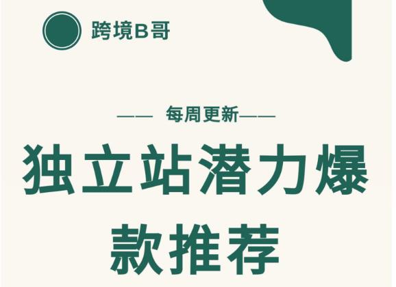 【跨境B哥】独立站潜力爆款选品推荐，测款出单率高达百分之80-猫哥网资源库