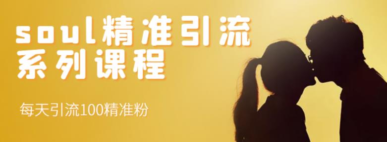 soul精准引流系列课程，每天引流100精准粉-猫哥网资源库