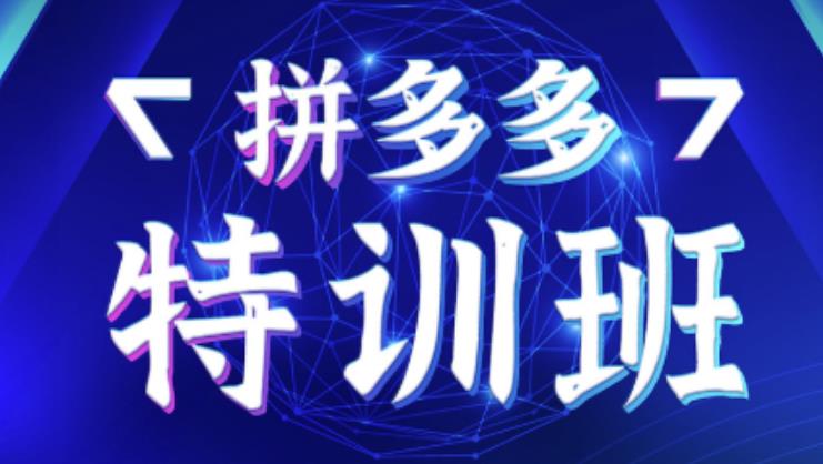 星雪教育·拼多多基础班+进阶班+突破班，用系统的学习模式快速改变现状价值3580元-猫哥网资源库