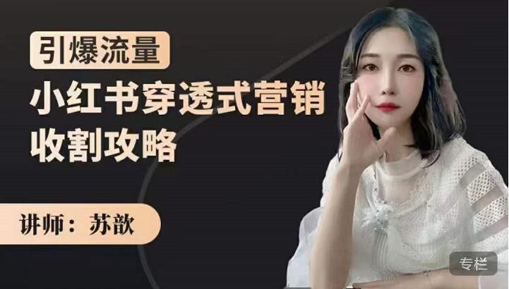 苏歆：小红书穿透式营销收割攻略，引爆流量，助你玩转小红书-猫哥网资源库