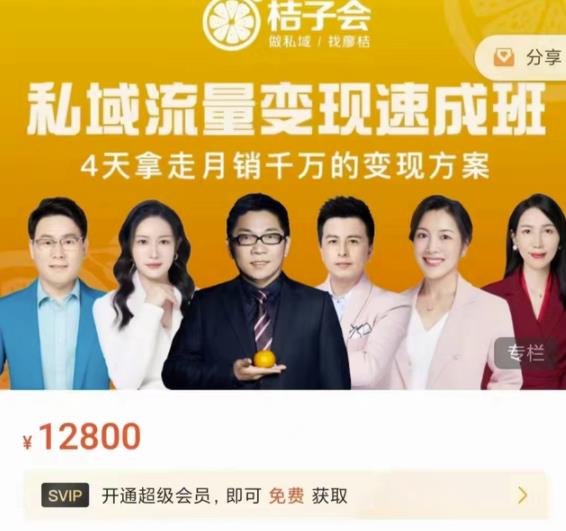 桔子会·私域流量变现速成班，4天拿走月销千万的变现方案 价值12800元-猫哥网资源库