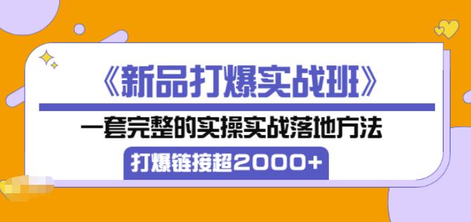 凌童《新品打爆实战班》,一套完整的实操实战落地方法，打爆链接超2000+（28节课)-猫哥网资源库