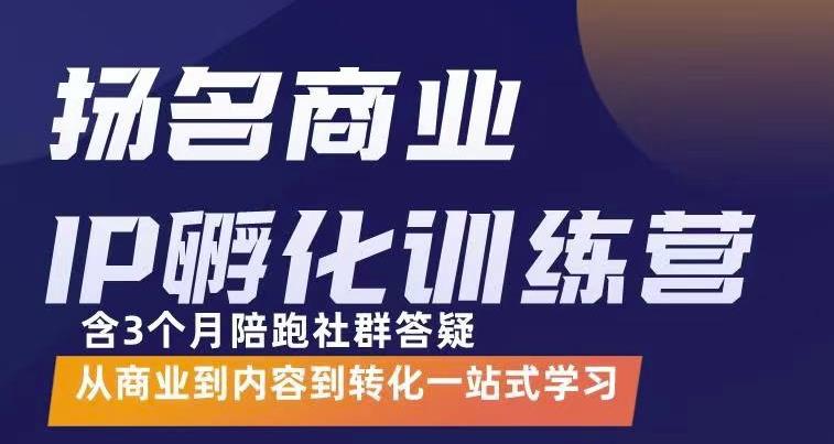 杨名商业IP孵化训练营，从商业到内容到转化一站式学 价值5980元-猫哥网资源库