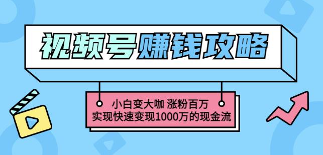 玩转微信视频号赚钱：小白变大咖涨粉百万实现快速变现1000万的现金流-猫哥网资源库