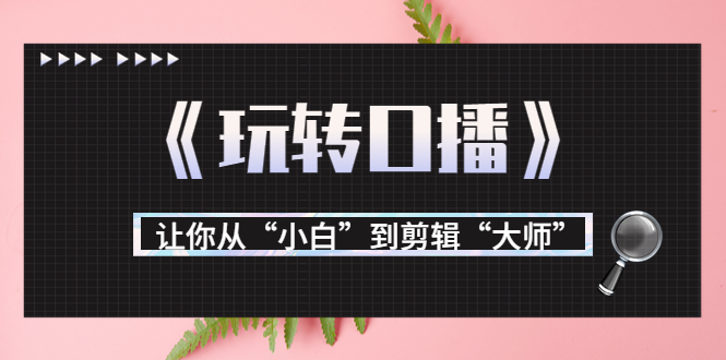 月营业额700万+大佬教您《玩转口播》让你从“小白”到剪辑“大师”-猫哥网资源库