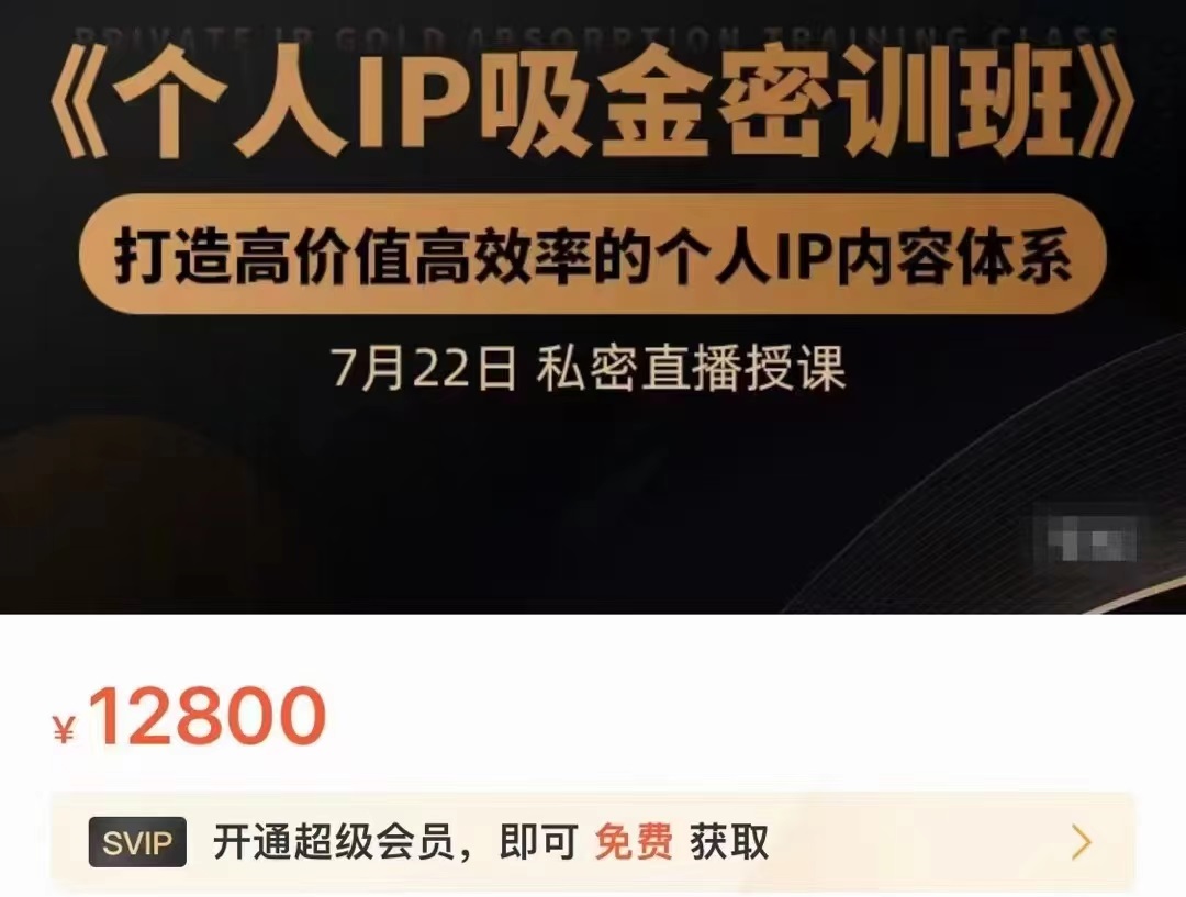 个人IP吸金密训班，打造高价值高效率的个人IP内容体系（价值12800元）-猫哥网资源库