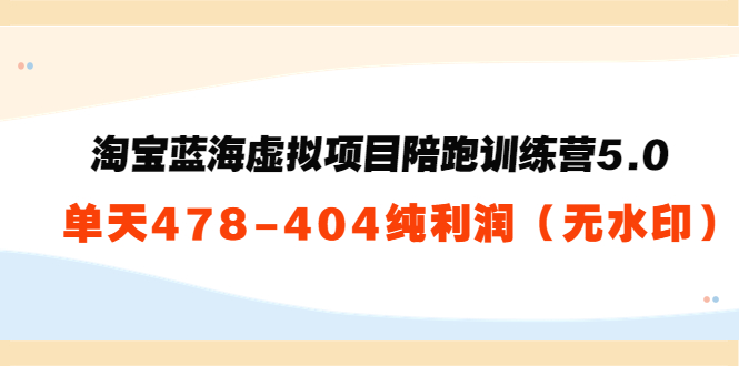 淘宝蓝海虚拟项目陪跑训练营5.0：单天478纯利润-猫哥网资源库