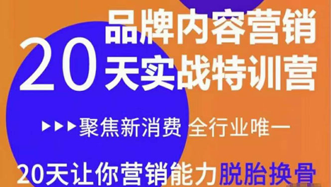 《内容营销实操特训营》20天让你营销能力脱胎换骨（价值3999）-猫哥网资源库