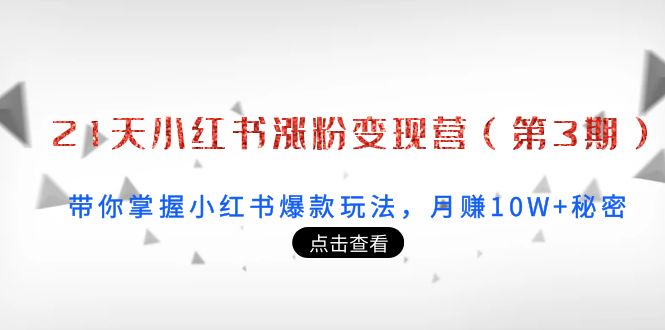 21天小红书涨粉变现营（第3期）：带你掌握小红书爆款玩法，月赚10W+秘密-猫哥网资源库