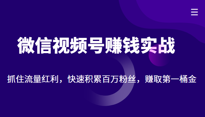 微信视频号赚钱实战：抓住流量红利，快速积累百万粉丝，赚取你的第一桶金-猫哥网资源库