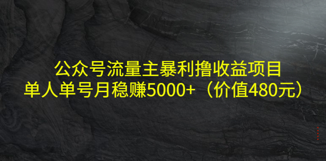 公众号流量主暴利撸收益项目，单人单号月稳赚5000+（价值480元）-猫哥网资源库