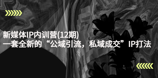 新媒体IP内训营(12期)，一套全新的“公域引流，私域成交”IP打法，直接带走-猫哥网资源库