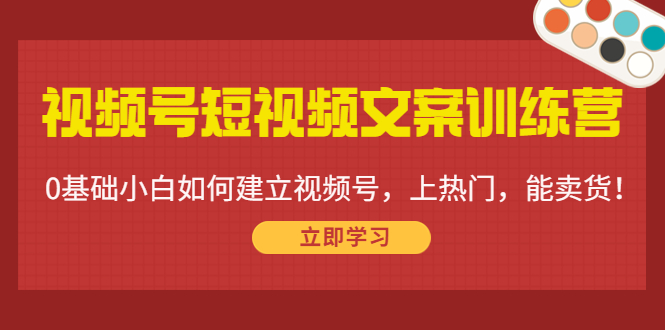 视频号短视频文案训练营：0基础小白如何建立视频号，上热门，能卖货！-猫哥网资源库