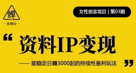 资料IP变现，能稳定日赚3000起的持续性盈利玩法-猫哥网资源库
