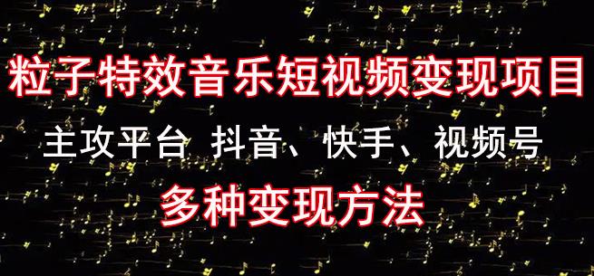 黄岛主《粒子特效音乐短视频变现项目》主攻平台抖音、快手、视频号多种变现方法-猫哥网资源库