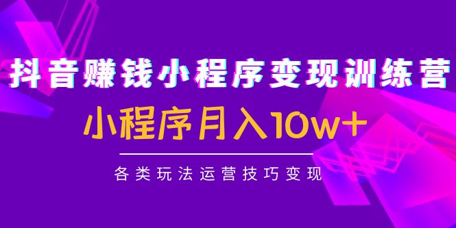 抖音赚钱小程序变现训练营：小程序月入10w+各类玩法运营技巧变现-猫哥网资源库