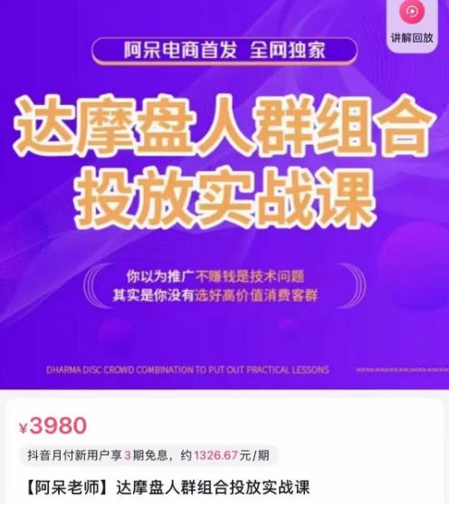 阿呆电商·达摩盘人群组合投放实战课，你以为推广不赚钱是技术问题，其实是你没有选好高价值消费客群-猫哥网资源库