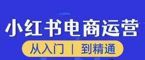 顽石小红书电商高阶运营课程，从入门到精通，玩法流程持续更新-猫哥网资源库