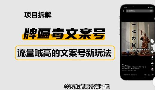 2023抖音快手毒文案新玩法，牌匾文案号，起号快易变现-猫哥网资源库