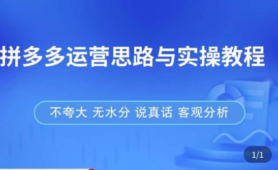 拼多多店铺运营思路与实操教程，快速学会拼多多开店和运营，少踩坑，多盈利-猫哥网资源库