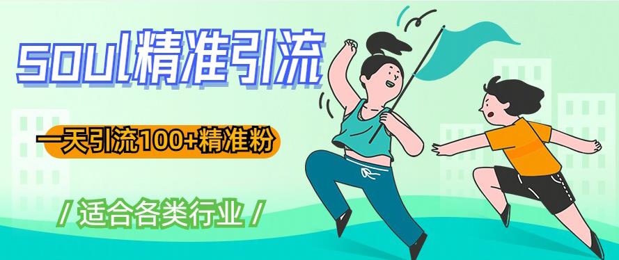 soul精准引流系列课程，一天引流100+精准粉，适合各类行业-猫哥网资源库