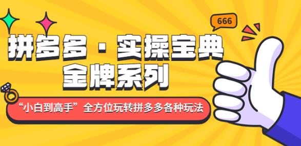 拼多多·实操宝典：金牌系列“小白到高手”带你全方位玩转拼多多各种玩法-猫哥网资源库