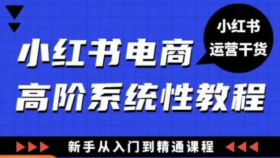 小红书电商高阶系统教程，新手从入门到精通系统课-猫哥网资源库