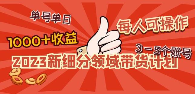 2023新细分领域带货计划：单号单日1000+收益不难，每人可操作3-5个账号-猫哥网资源库