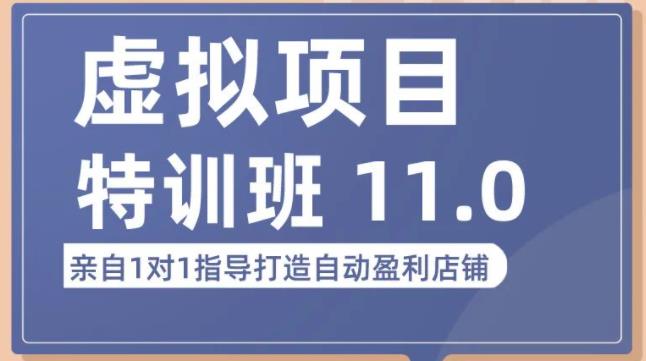 陆明明·虚拟项目特训班（10.0+11.0），0成本获取虚拟素材，0基础打造自动盈利店铺-猫哥网资源库