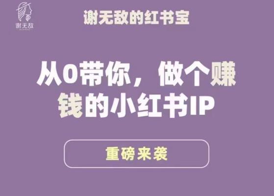 谢无敌·小红书运营大宝典，从0带你做个赚钱的小红书IP-猫哥网资源库