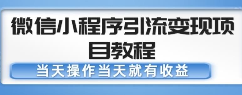 微信小程序引流变现项目教程，当天操作当天就有收益，变现不再是难事-猫哥网资源库