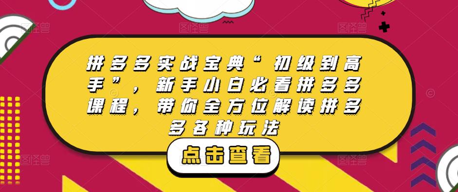 拼多多实战宝典“初级到高手”，新手小白必看拼多多课程，带你全方位解读拼多多各种玩法-猫哥网资源库