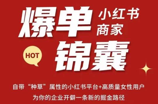 无畏·小红书商家爆单锦囊，掌握小红书各大规则，快速精准抢占行业和市场-猫哥网资源库