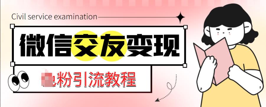 微信交友变现项目，吸引全网LSP男粉精准变现，小白也能轻松上手，日入500+-猫哥网资源库