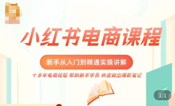 小红书电商新手入门到精通实操课，从入门到精通做爆款笔记，开店运营-猫哥网资源库