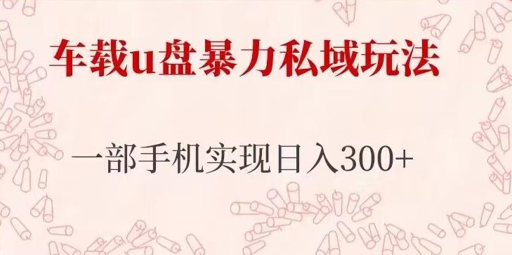 车载u盘暴力私域玩法，长期项目，仅需一部手机实现日入300+-猫哥网资源库